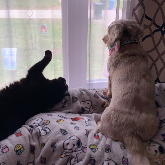 Meet your Posher, Candy - Picture 9 of 9